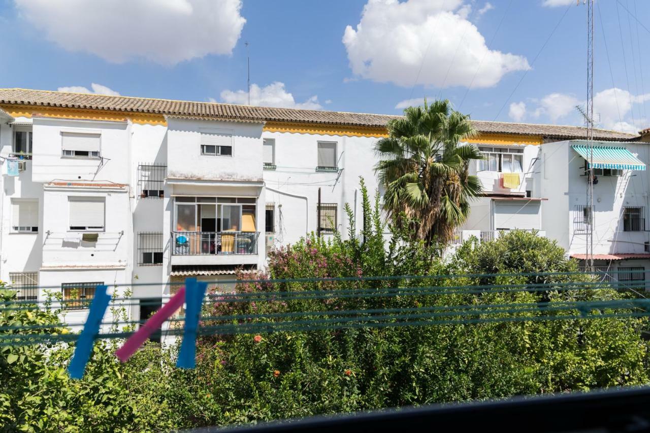 Spectacularly Updated For Large Groups! Sevilla